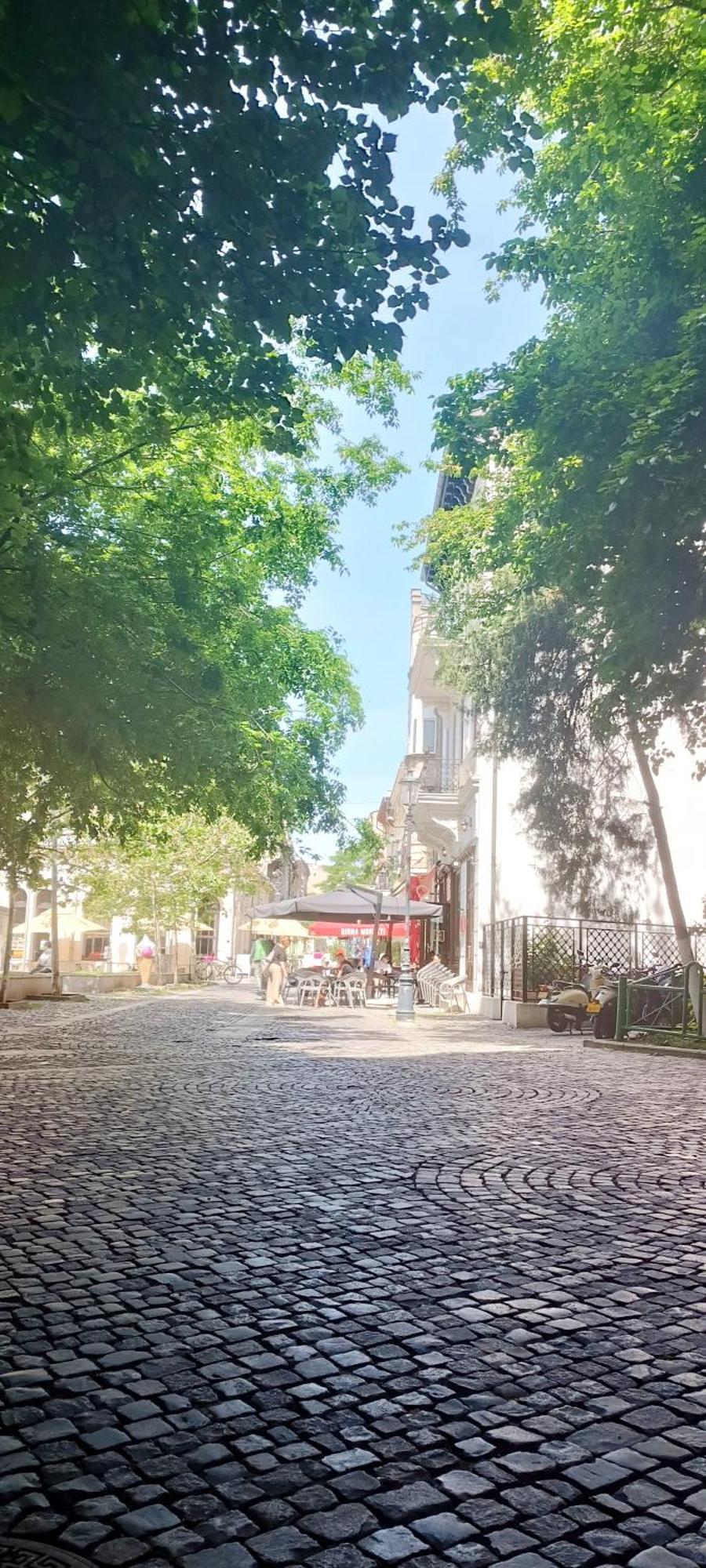 Enchanting Retreat - Historic Old Town - Pet-Friendly Haven - Steps From Unirii Бухарест Экстерьер фото